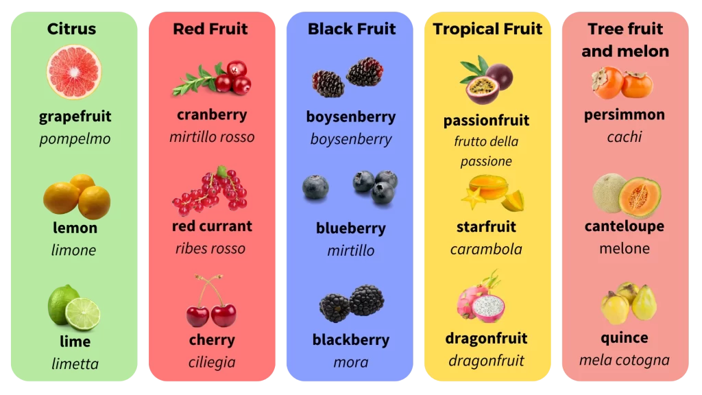 Una tabella che mostra i vari tipi di sapori fruttati del vino.