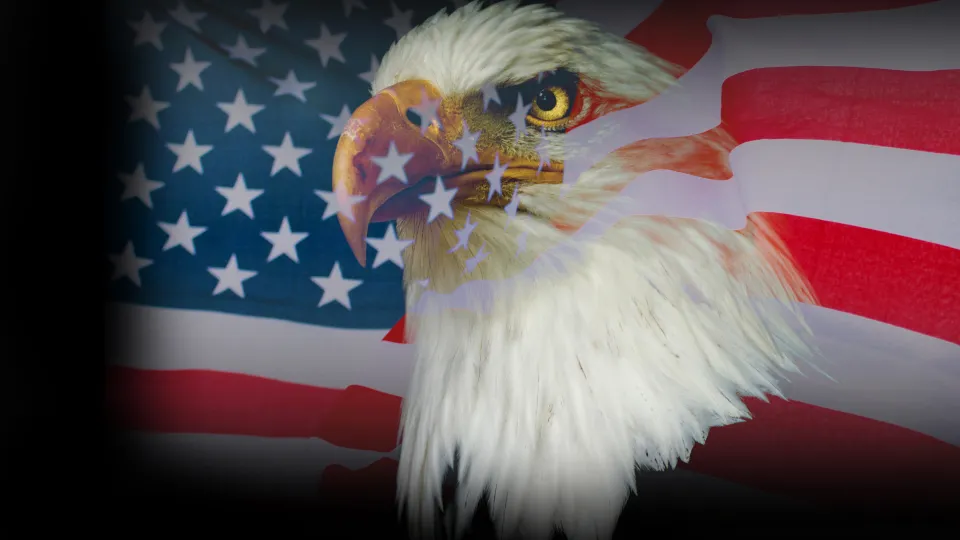 American flag with eagle. Bandiera americana con aquila.