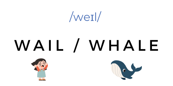 Graphic showing the english homonyms wail and whale. Omofoni in inglese.