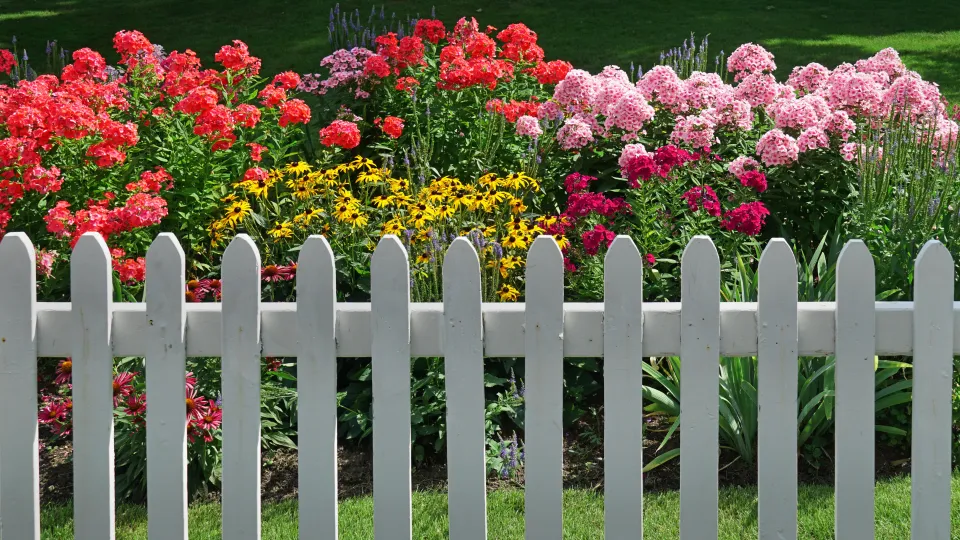 The white picket fence is a symbol of the American dream.