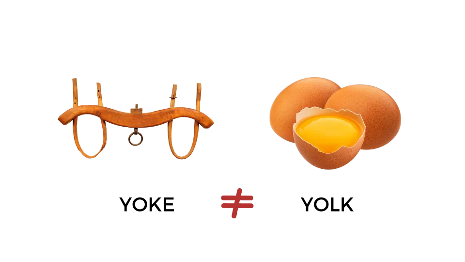 qual è la differenza tra yoke e yolk?