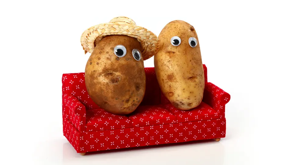 2 potatoes with googly eyes sitting on a couch being couch potatoes.